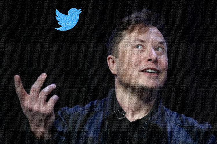 Elon And The Bird